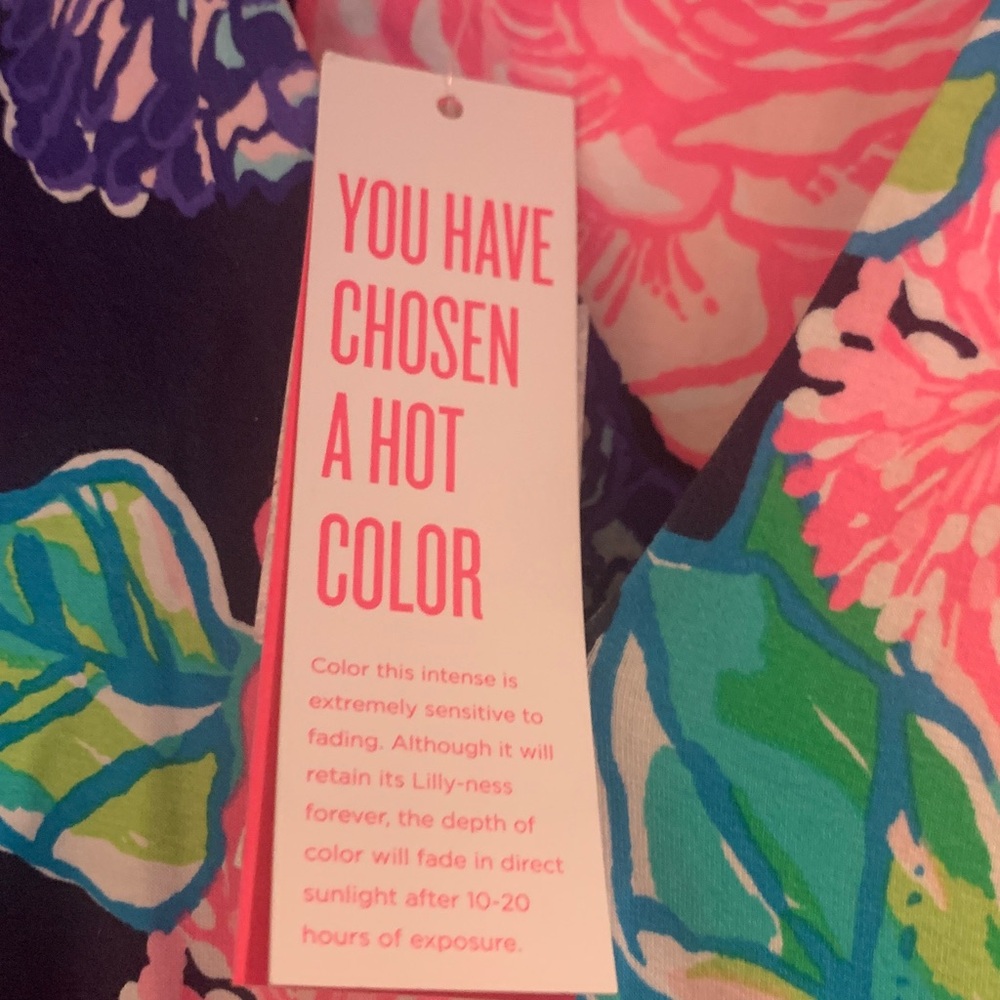 Lilly Pulitzer Floral Maxi Dress - Pink and Blue - Picture 3 of 6